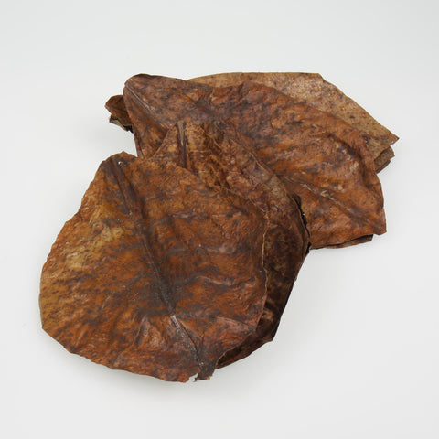 JBL Catappa XL aanbieding op = op