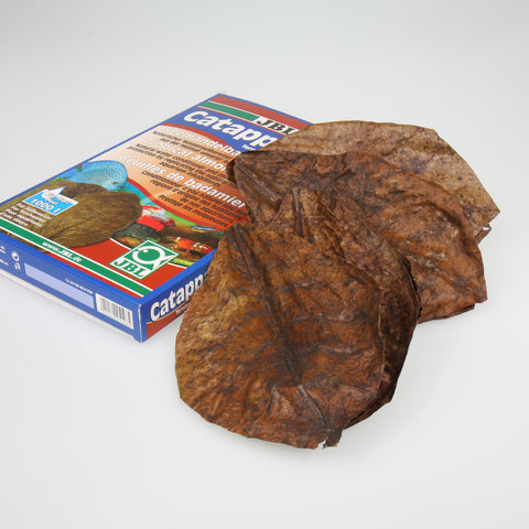 JBL Catappa XL aanbieding op = op