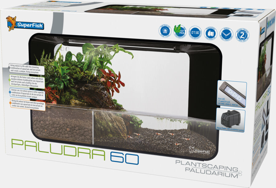 SF PALUDRA 60