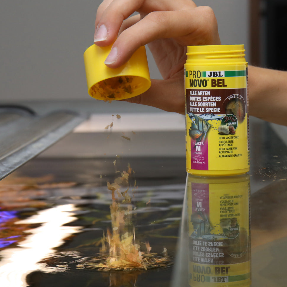 JBL PRONOVO BEL FLAKES