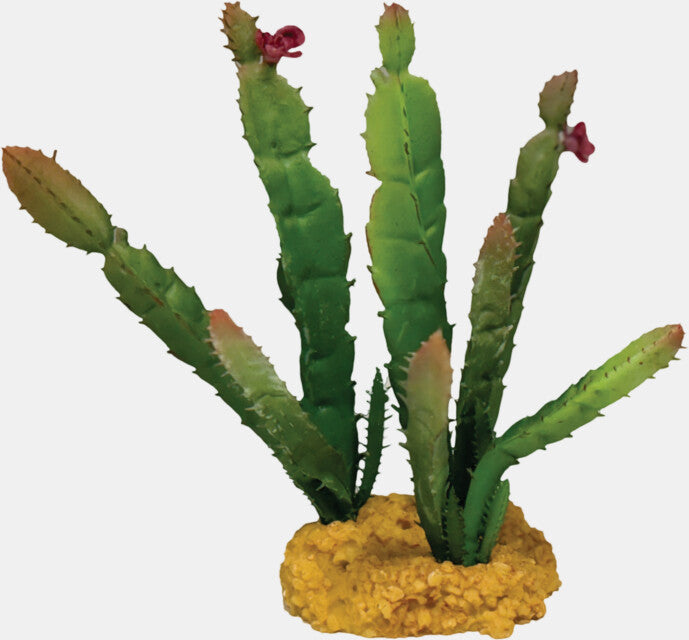 REPTO PLANT CACTUS NEEDLE RED TIP