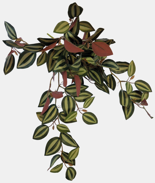 REPTO PLANT HANGING RED BACK 46 CM