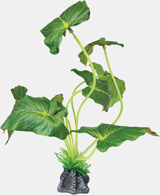 REPTO PLANT STANDING ELEPHANT EAR