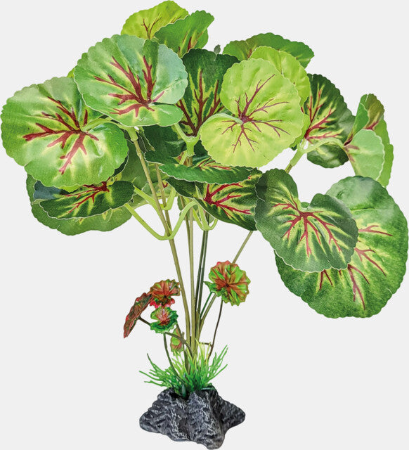 REPTO PLANT STANDING ROUND LEAVES