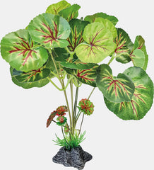 REPTO PLANT STANDING ROUND LEAVES