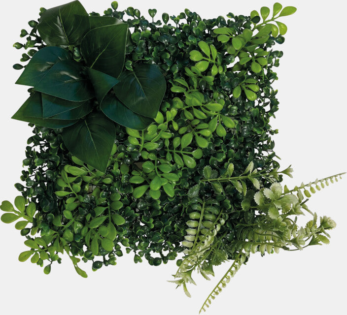 REPTO PLANT ACHTERWAND MAT 25X25CM 2
