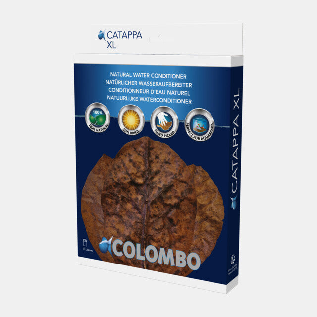 COLOMBO CATAPPA XL 10 STUKS XL