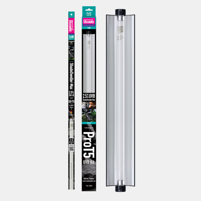ARCADIA PRO T5 MAX SET SHADEDWELLER 2,5% UVB 14 WATT