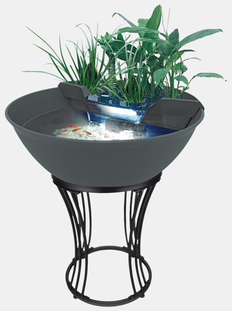 SF MINI POND STANDAARD voor Medakabowl 600