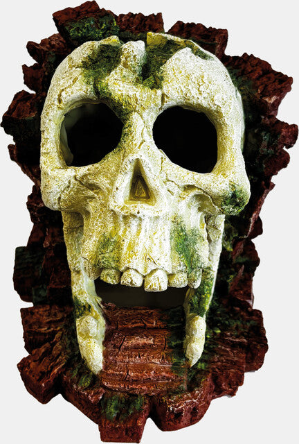 REPTO DECO GORILLA SKULL