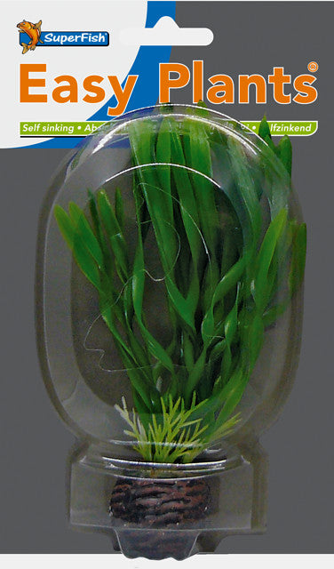 Sf easy plants voorgrond 13 cm