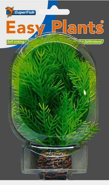 Sf easy plants voorgrond 13 cm