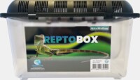 REPTO BOX
