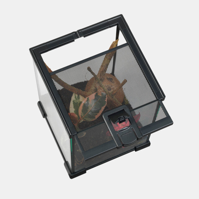 HABISTAT GLAZEN TERRARIUM 20 X 20 X 30CM