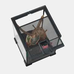 HABISTAT GLAZEN TERRARIUM 20 X 20 X 30CM