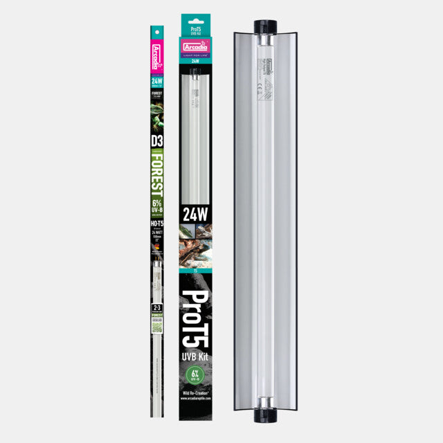 ARCADIA PRO T5 SET FOREST 6% UVB