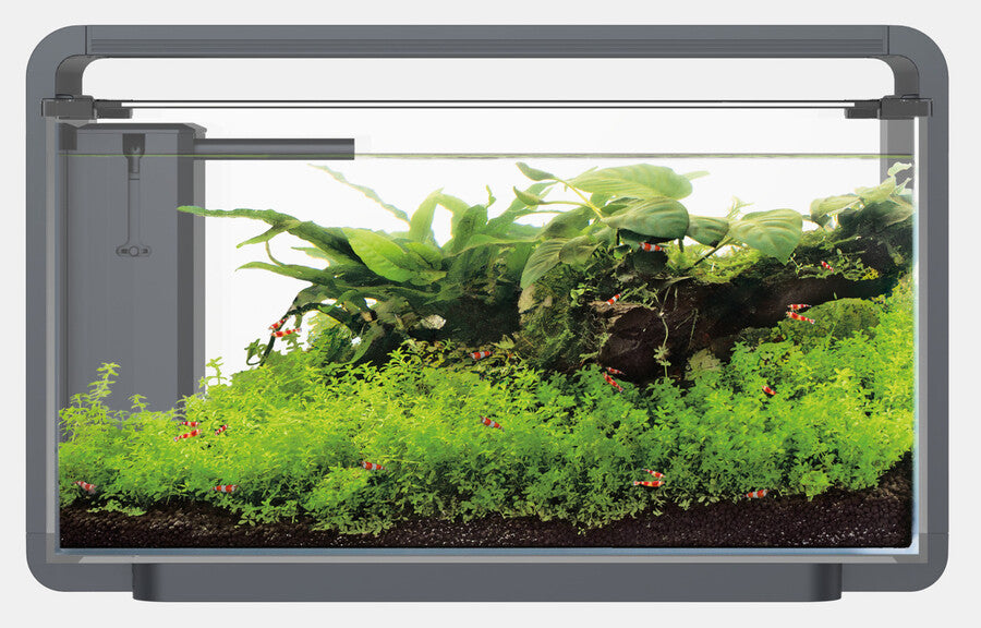 SF HOME PROLED 30 AQUARIUM ZWART