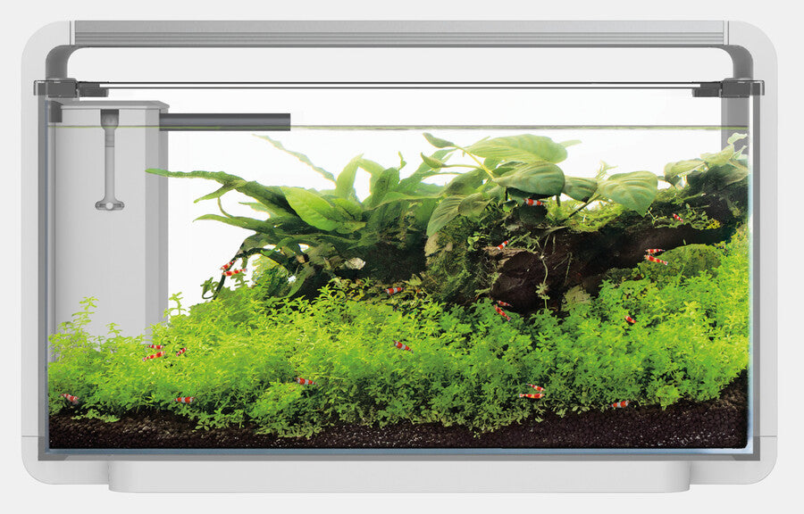 SF Home ProLED 30 Aquarium Wit