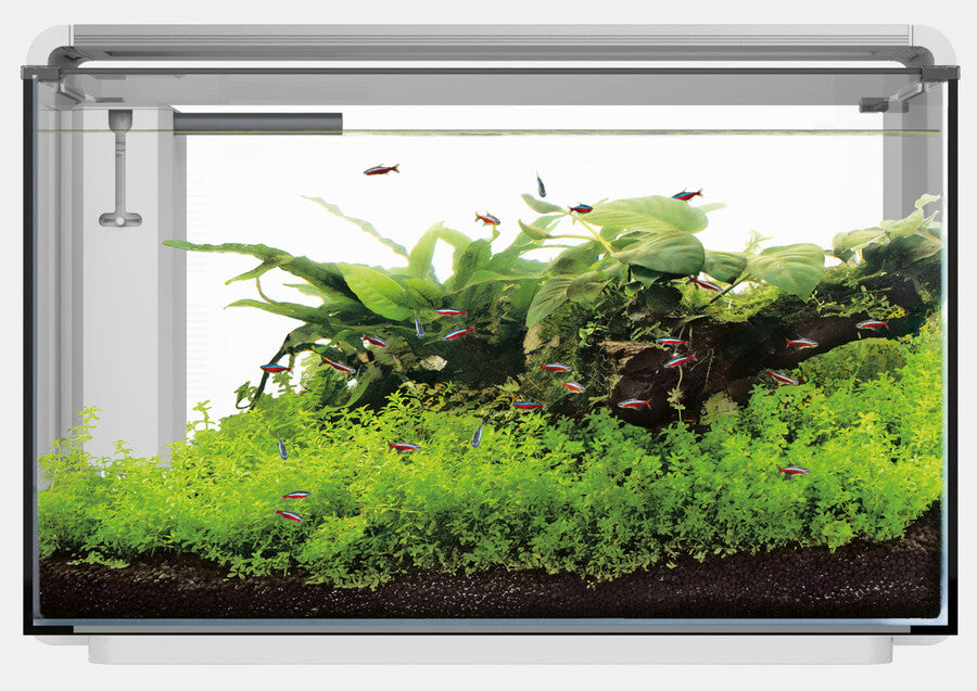 SF Home ProLED 85 Aquarium Wit