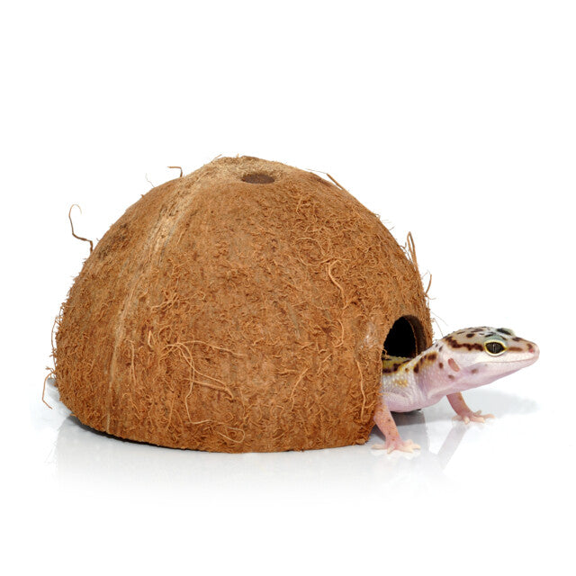 HabiStat Cocosnoot Grot