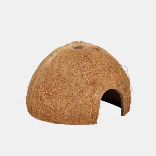 HabiStat Cocosnoot Grot