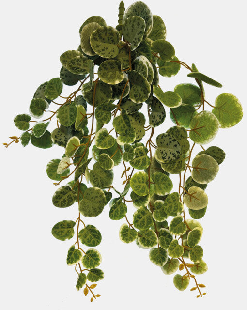 REPTO PLANT HANGING ROUND LEAVES 46 CM