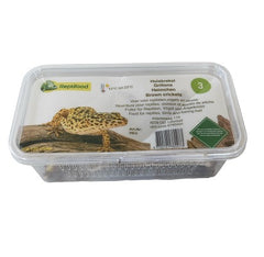Huiskrekel maat 3 in doosje