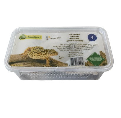 Huiskrekel maat 4 in doosje