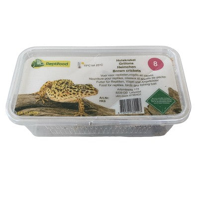 Huiskrekel maat 8 in doosje