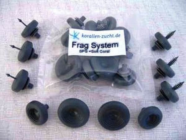 Frag System Soft Corals - 10 pcs
