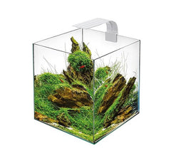 Aquarium Cube 30 wit compleet @