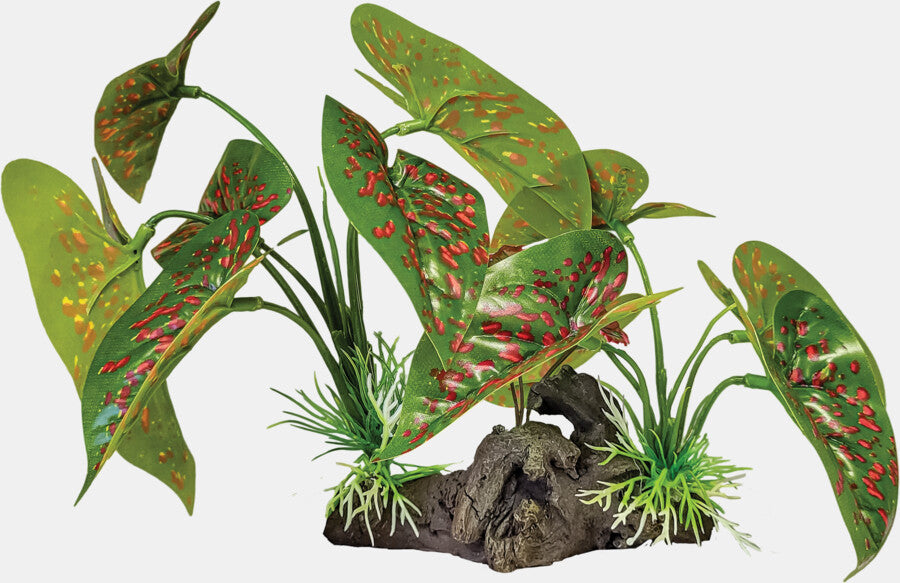 REPTO PLANT ON DECO ELEPHANT RED