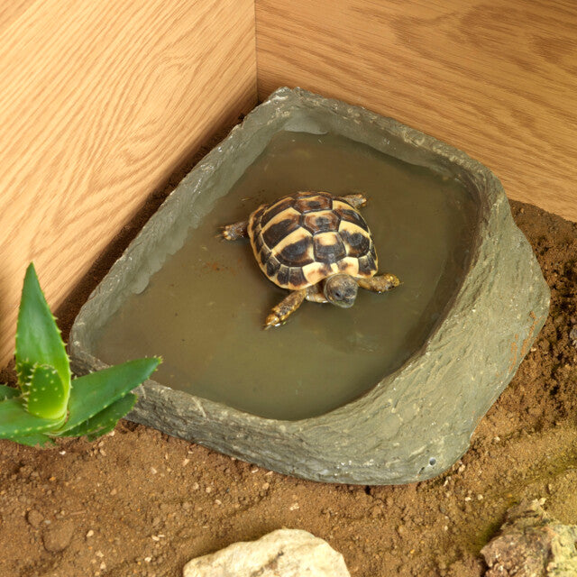 HABISTAT LANDSCHILDPADDEN TOEBEHOREN SET
