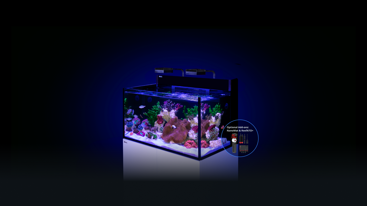 RED SEA MAX NANO G2 XXL (nu met gratis bezorging!)