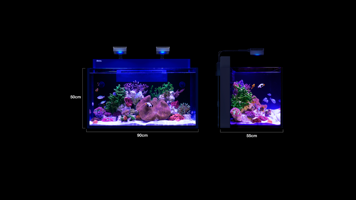 RED SEA MAX NANO G2 XXL (nu met gratis bezorging!)