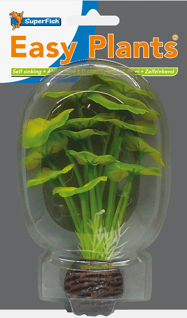 Sf easy plants voorgrond 13 cm