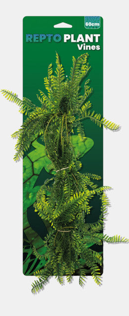 REPTO PLANT VINES GREEN ASPARAGUS 60 CM