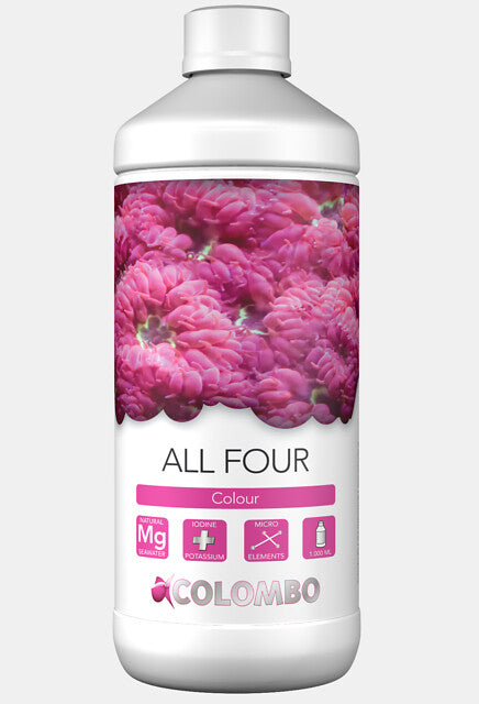 Colombo Marine All Four