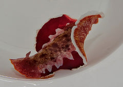 Hexabranchus sanguineus