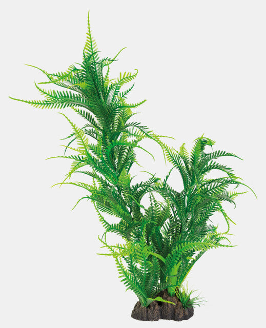 SuperFish Art Plant Microsorum