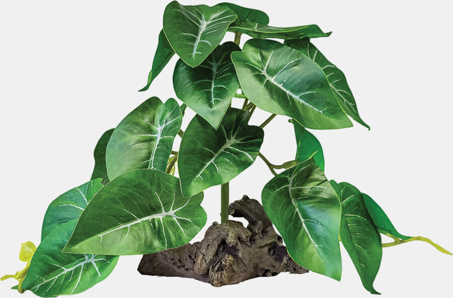 REPTO PLANT ON DECO ELEPHANT GREEN