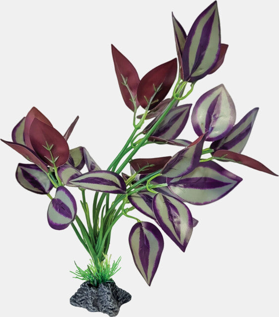 REPTO PLANT STANDING PURPLE LEAVES