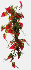 REPTO PLANT VINES PINK/GREEN SYNGONIUM 60 CM