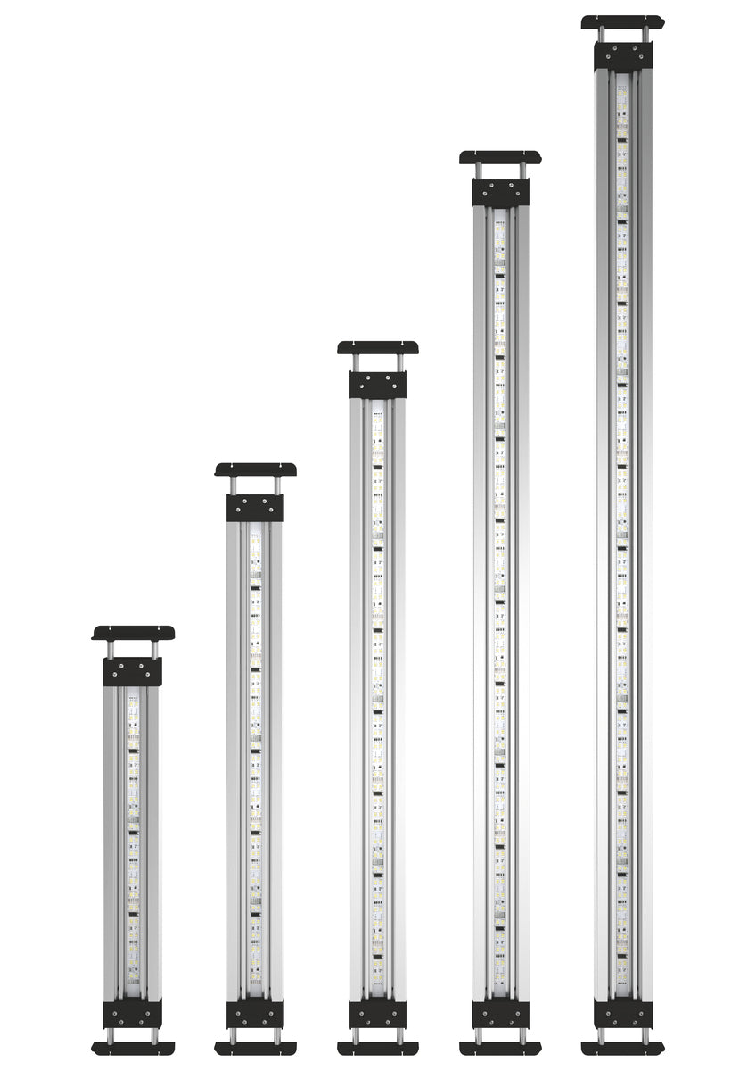 Oase MotionControl LED set
