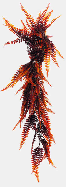 REPTO PLANT VINES ORANGE FERN 60 CM