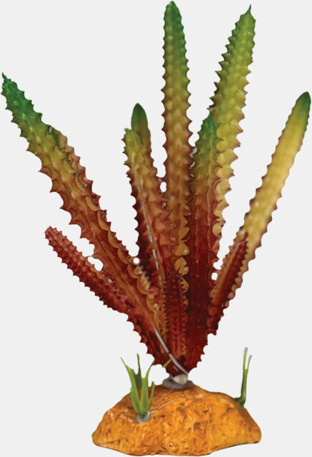 REPTO PLANT CACTUS NEEDLE RED