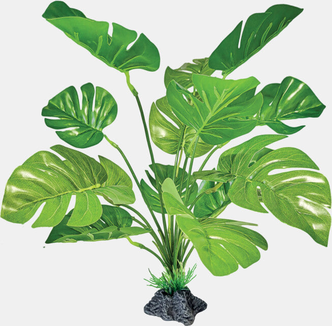 REPTO PLANT STANDING MONSTERA
