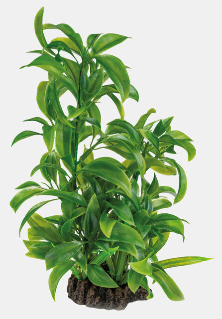 SuperFish Art Plant 25 cm Dracaena