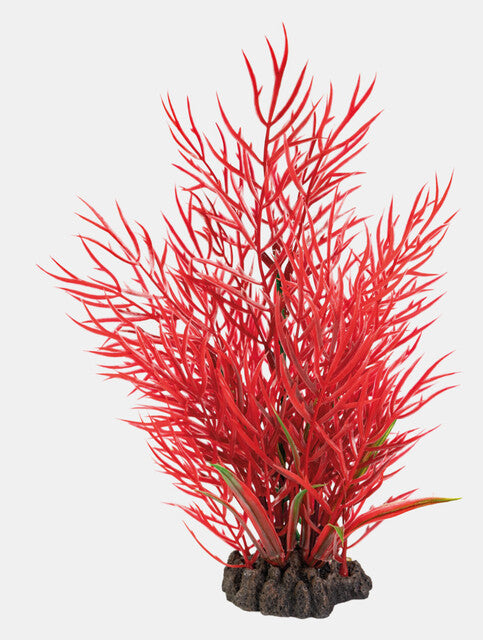 SuperFish Art Plant 25 cm Ludwigia