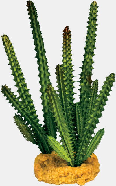 REPTO PLANT CACTUS NEEDLE GREEN